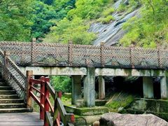 -广州白江湖森林公园