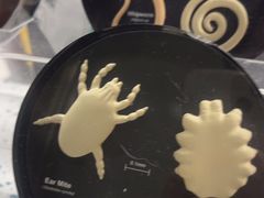 -半岛宠物医院24小时(白果林店)
