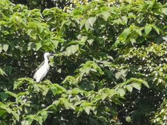 -艾溪湖湿地公园