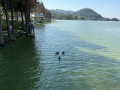 -顺峰山公园