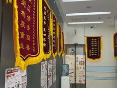 -中农国际动物医院24小时·猫科·骨科·急重症中心