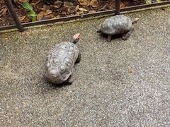 -河川生态园