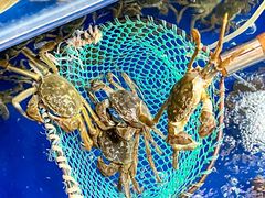 -阳澄湖大闸蟹·琼灵阁牌品牌连锁(吴中总店)