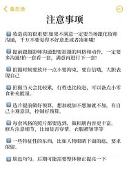 点击看大图 -今生有约国际精品婚纱摄影(苏州店)