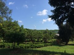 iphone_upload_pic-鹅銮鼻公园