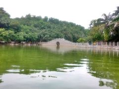 -广东茂名森林公园