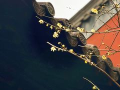 -钱王祠