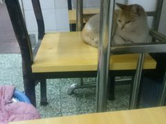 面包甜点陈列柜-非遗·爱西干面(小公园总店)