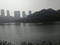 -重庆彩云湖湿地公园