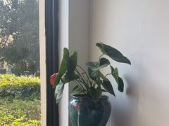 -荷风细雨·中国茶宴(碧云店)