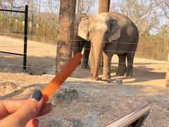 -清迈夜间动物园