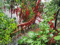 -宝晶宫旅游景区