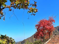 -秦岭终南山世界地质公园翠华山景区