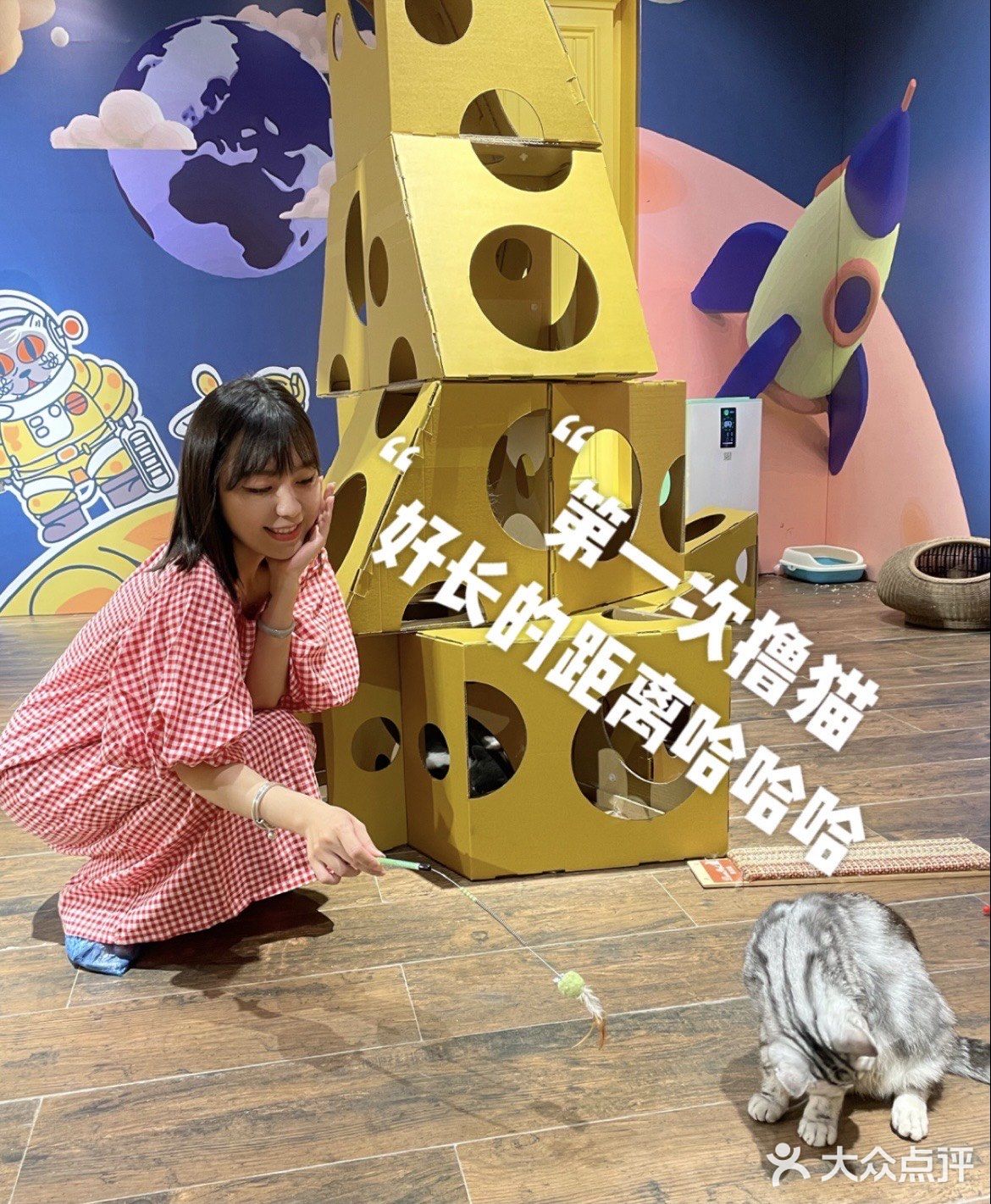 广州撸猫圣地好去处🐈 MOYOMA 摸幺喵来啦‼️