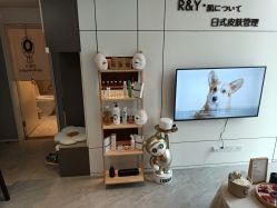 -R&Y·肌について日韩问题肌皮肤管理
