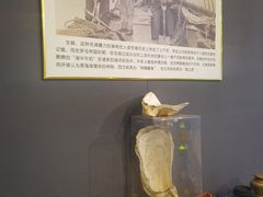 -土蚝·高压锅生蚝(百姓美食街店)
