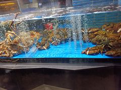 -徐记海鲜(丰庆店)