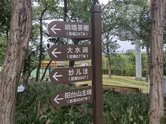 -阳台山自然风景区