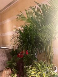 -青岛香格里拉·氣水疗中心