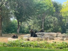 -北京野生动物园