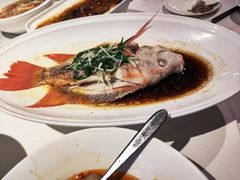 -上座·餐厅(阳光100店)