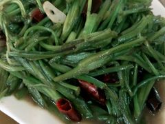 android_upload_pic-泸沽肴(泸沽湖大洛水村农村信用社旁店)