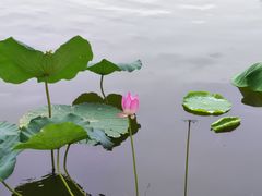-东湖生态旅游风景区