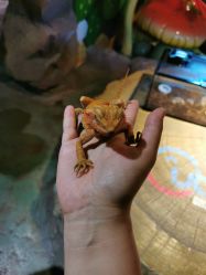 -酷嗒动物文化乐园(cutezoo西溪乐天城店)