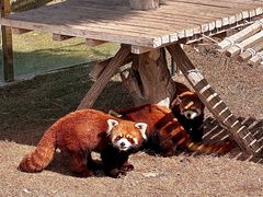 -水上乐园·欢乐世界