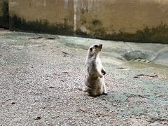 -东莞香市动物园