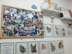 -美联众合动物医院·24h转诊中心