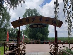 -白渔泡湿地公园