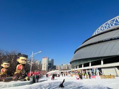 -沈阳奥体冰雪嘉年华