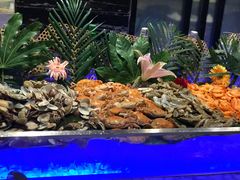 -城市名人酒店-喝彩西餐厅(名人城市广场店)