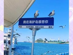 -海驴岛(荣成市)
