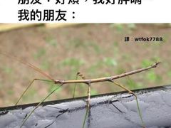 -加餐海鲜自助(集美银泰百货店)