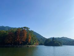-深圳仙湖植物园