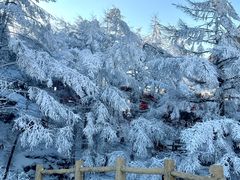 -崂山巨峰游览区