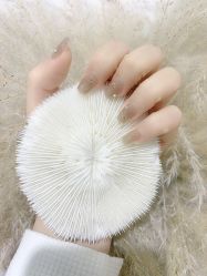 点击看大图 -晨·艺美甲美睫