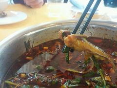 -胖大姐黄辣丁鱼庄(新津店)