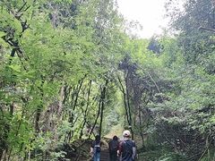 -武夷山风景名胜区-虎啸岩