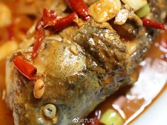 -阿五黄河大鲤鱼(海尚店)
