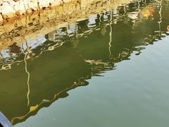 -北京上庄水库尚野露天户外自助烧烤