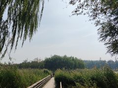 -马家湾湿地公园
