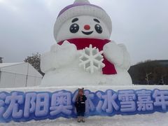 -沈阳奥体冰雪嘉年华