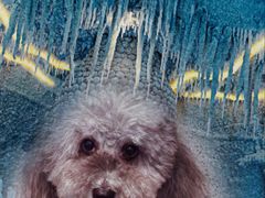 -E+有冰工厂·昆仑寒宫2(五角场店)