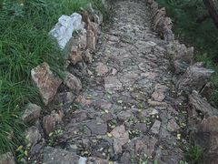-大连植物园