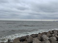 -天津妈祖文化园