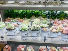 -鹿岛生活(熙地港店)