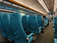 -龙阳路磁悬浮列车总站-停车场